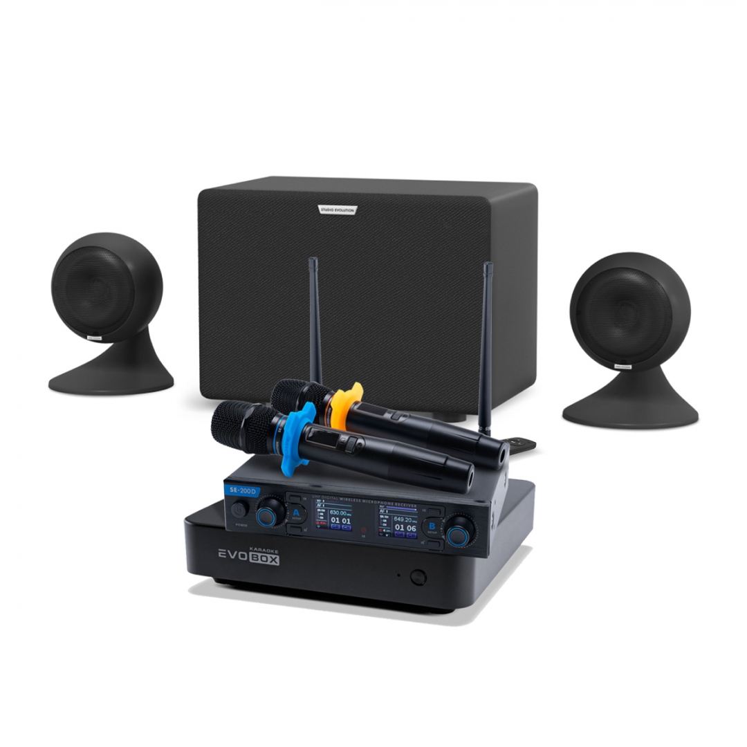 караоке-комплект EVOBOX + EvoSound Sphere 2.1 в Челябинске