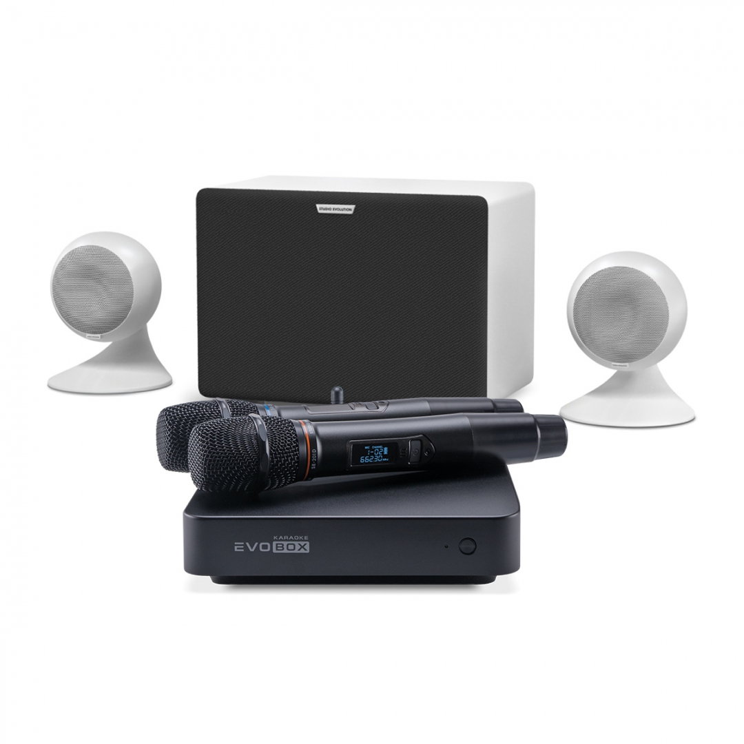 караоке-комплект EVOBOX Classic + EvoSound Sphere 2.1 в Челябинске