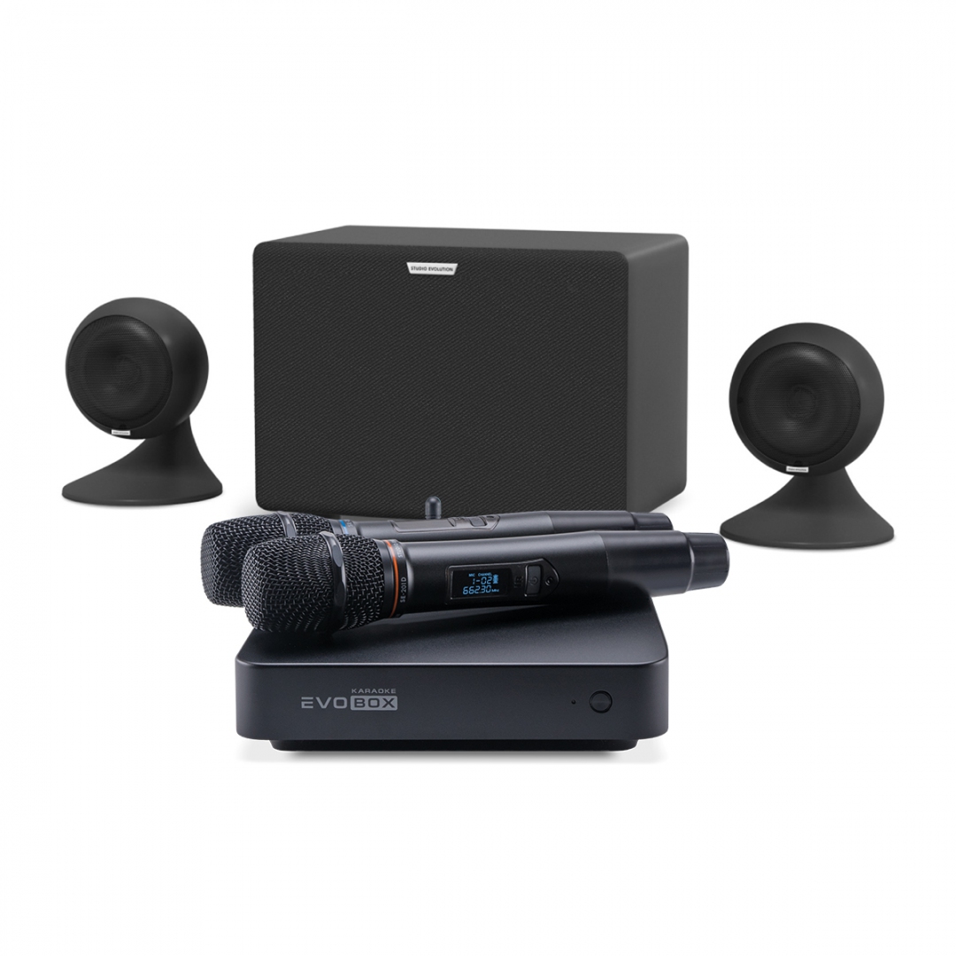 караоке-комплект EVOBOX Plus + EvoSound Sphere 2.1 в Челябинске