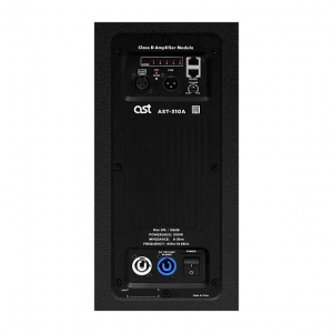 Активная акустическая система AST-310A в Челябинске
