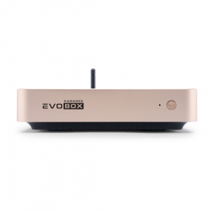 EVOBOX Plus караоке-система для дома в Челябинске